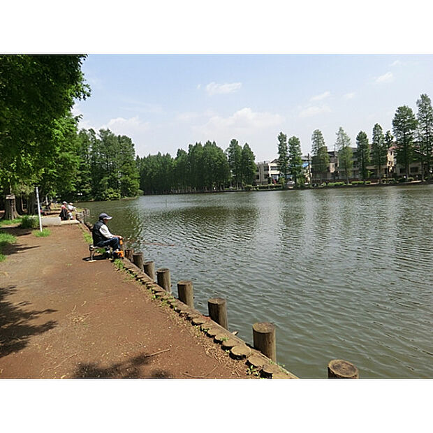 別所沼公園