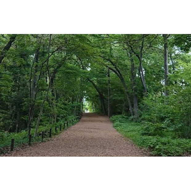三貫清水緑地