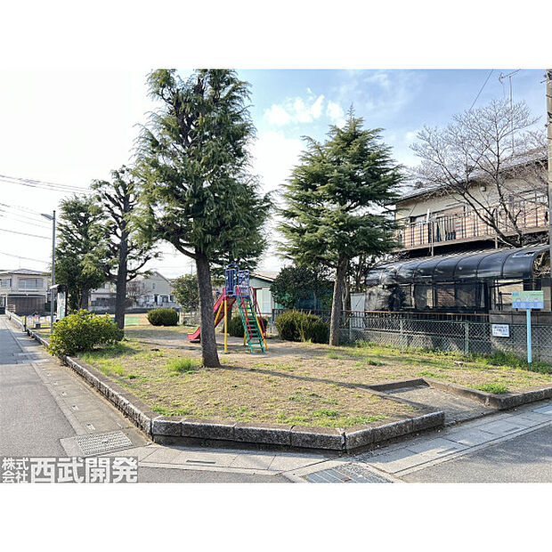 八島公園