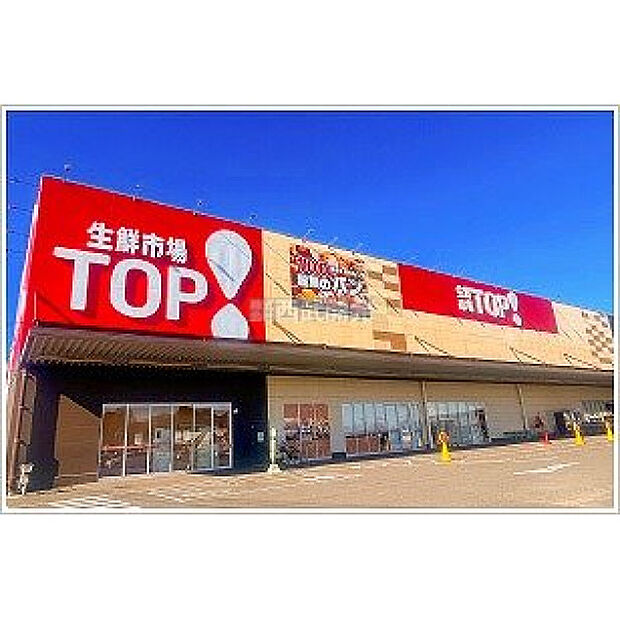 生鮮市場ＴＯＰ