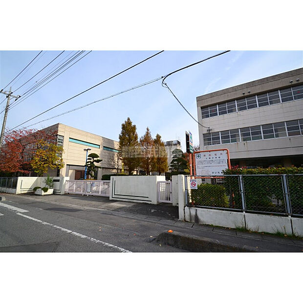 土屋中学校