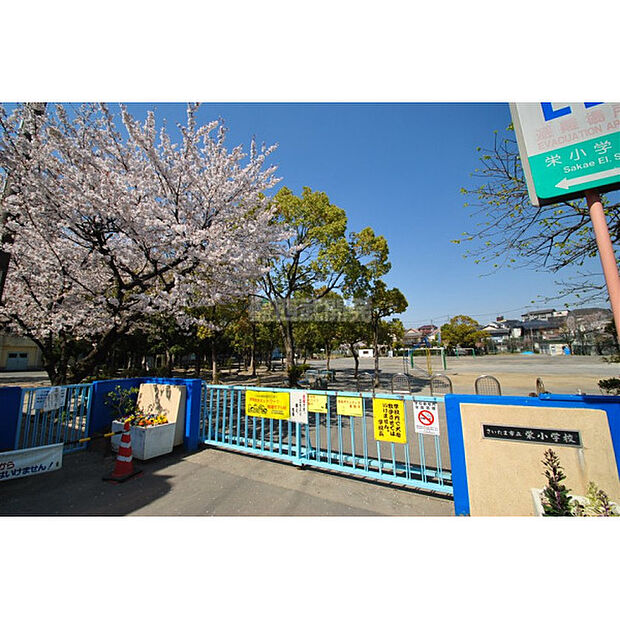 栄小学校