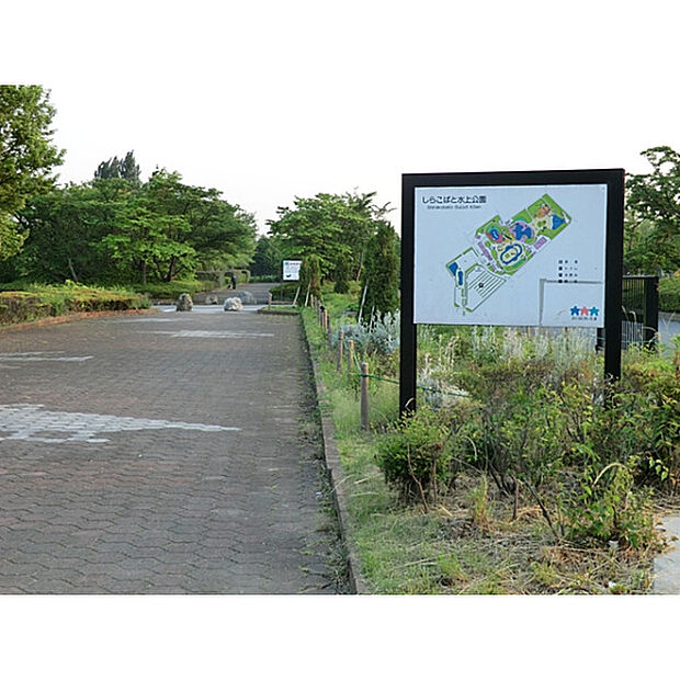 県営しらこばと水上公園