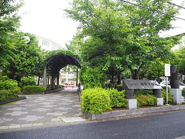 周辺を拡大表示