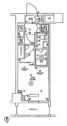 スカイコート品川パークサイドII 7階/-