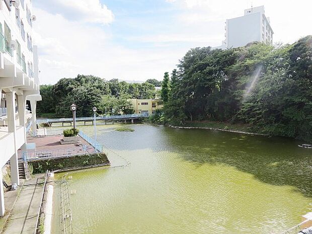 目の前の竹山池の水と緑