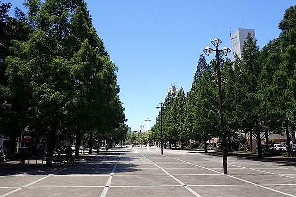 大通り公園　 170m
