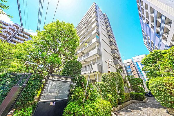 共用部分を彩る植栽。緑に癒される落ち着いた空間です。