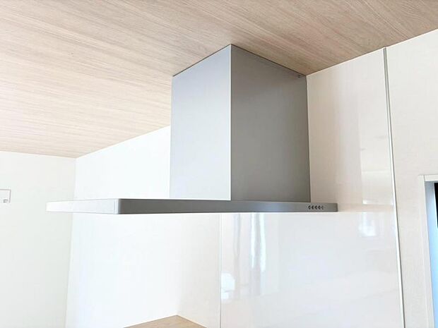 煙や湯気、臭いの吸い込み効果を高める整流板付の吸気口。汚れもさっと取れ、お手入れも容易です。