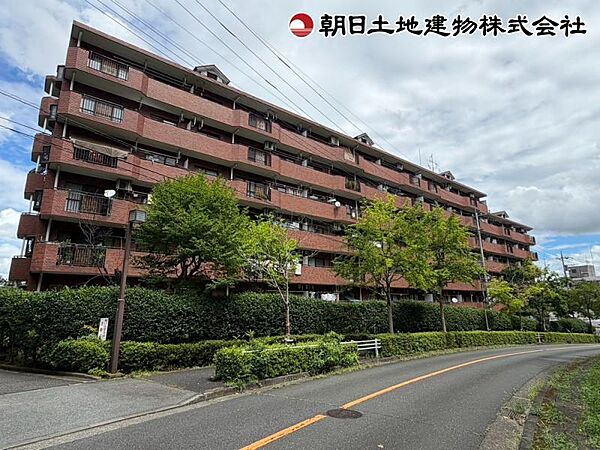 外観：313004846245