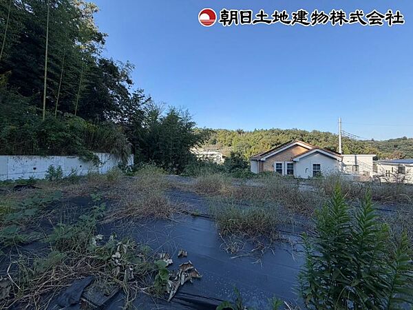 現地写真10/9撮影