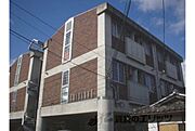 トライヤード１の賃貸物件