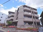 京都市伏見区桃山町丹後 4階建 築30年のイメージ