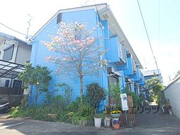 ルネサンスなつか