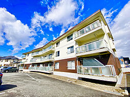 カサフィーナＡＩ