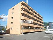 並柳ハイツ 5階 築33年5ヶ月の賃貸物件