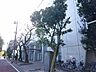 周辺：豊島区立明豊中学校 徒歩15分。 1190m
