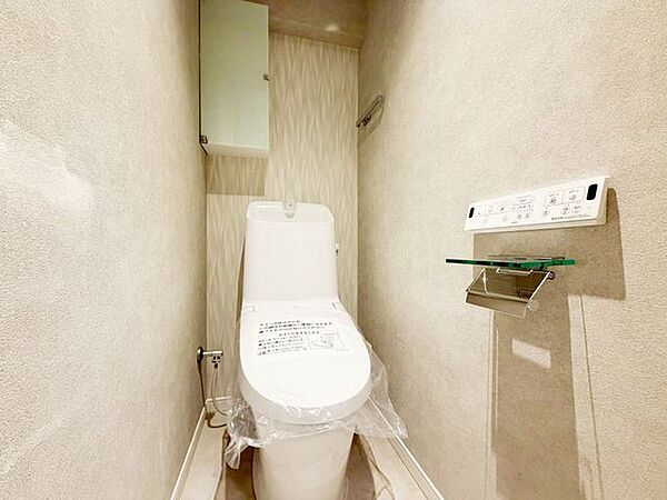 トイレの背面には収納付。トイレットペーパー等、買い置きもしやすそうです。
