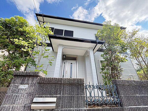 外観：312001034272