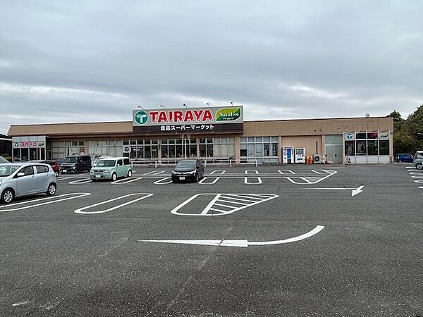 ＴＡＩＲＡＹＡ新取手駅前まで（1000m）
