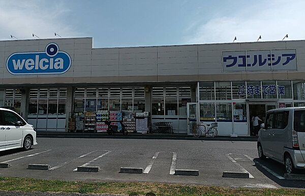 ウエルシア龍ケ崎長山店まで（700m）