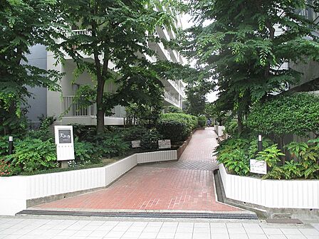 お手入れの行き届いた緑の多いエントランスアプローチです。