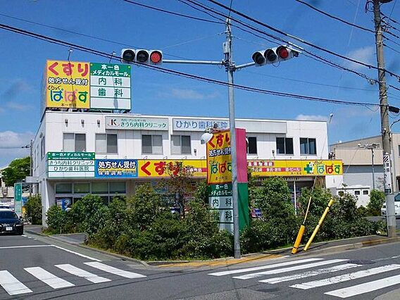 どらっぐぱぱす...