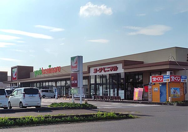 ヨークベニマル　筑西横島店（850m）