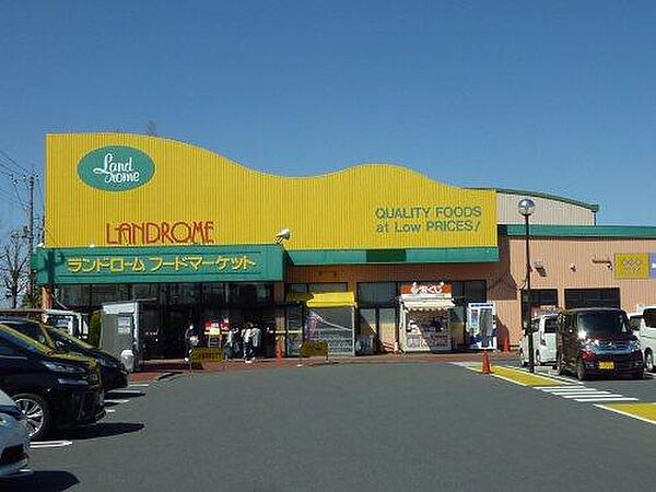 ランドローム　龍ヶ岡店（750m）