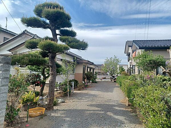 現地
