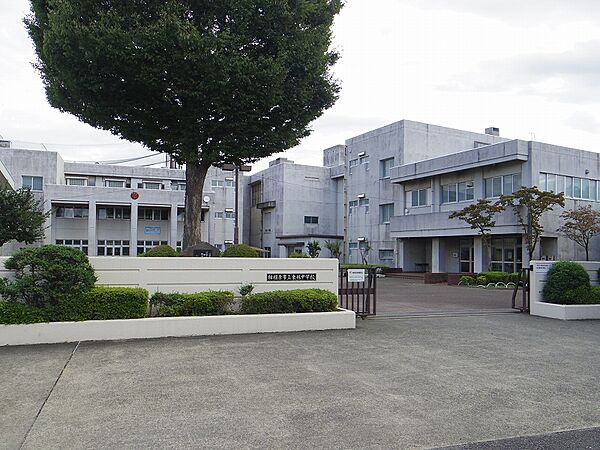 東林中学校（約５００ｍ）