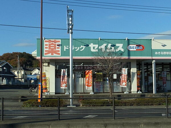 ドラッグストアー