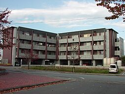 エクシヴ若宮II 406