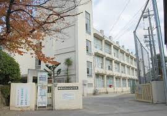 画像23:堺市立東百舌鳥中学校（80m）