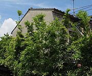 シティーハイツ鞍馬口 2階 築40年の賃貸物件