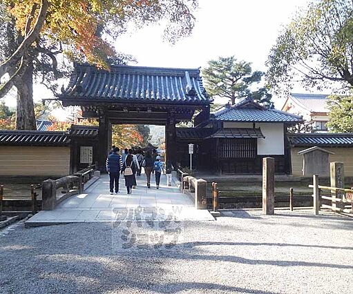 シャローム_周辺_8