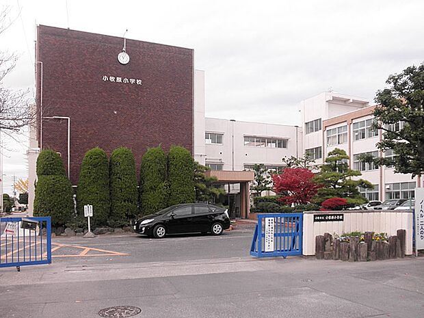 小牧市立小牧原小学校(1239m)