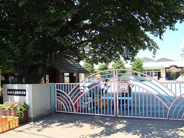 高雄保育園(1315m)