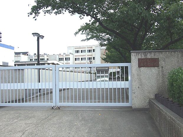 名古屋市立森孝中学校（1100m）