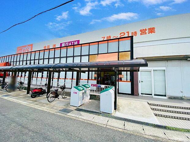 ザ・ビッグ エクスプレス 花ノ木店（520m）