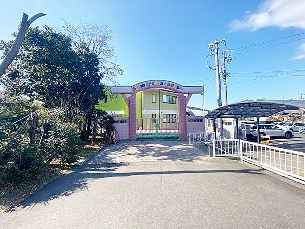 すみれ楽園(590m)