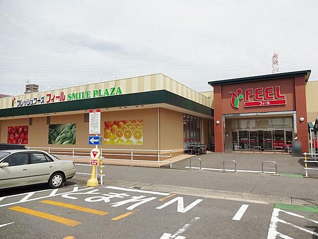 フィール スマイルプラザ(1353m)