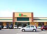 周辺：ドミー 東浦店（651m）