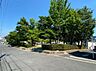 周辺：南青山公園（55m）