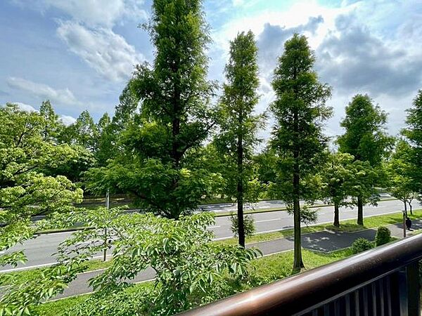 前面に建物がなく、街路樹と空の広がる開放的な眺望です