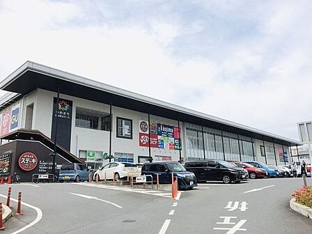 ゆめまち習志野台モール 徒歩6分。 480m