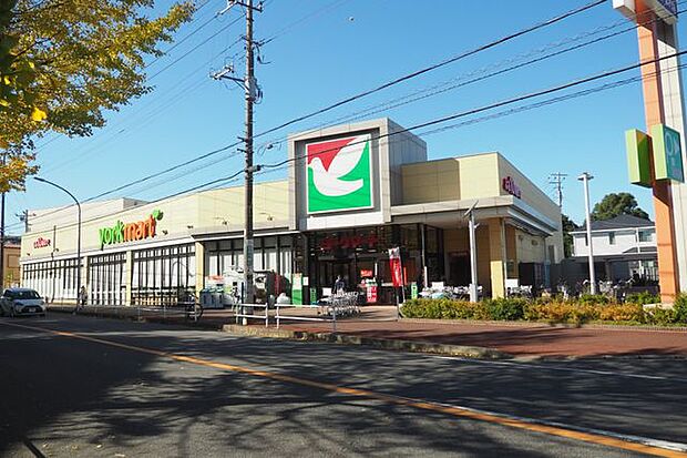 ヨークマート八千代台店 徒歩12分。 910m