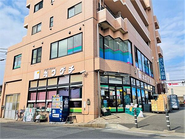 スーパーチェーンカワグチ大和田店 徒歩16分。 1270m