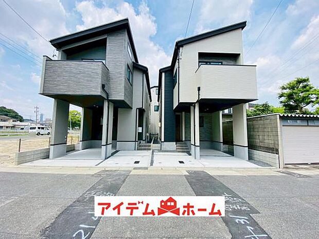 全体(2025年6月)撮影