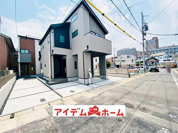 全体（2025年6月）撮影